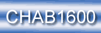  Felony Child Abuse, 827.03.1, CHAB1600, CHILD ABUSE