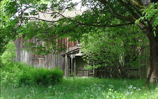 [DSC00355.JPG]