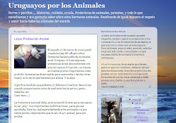 Uruguay x los animales
