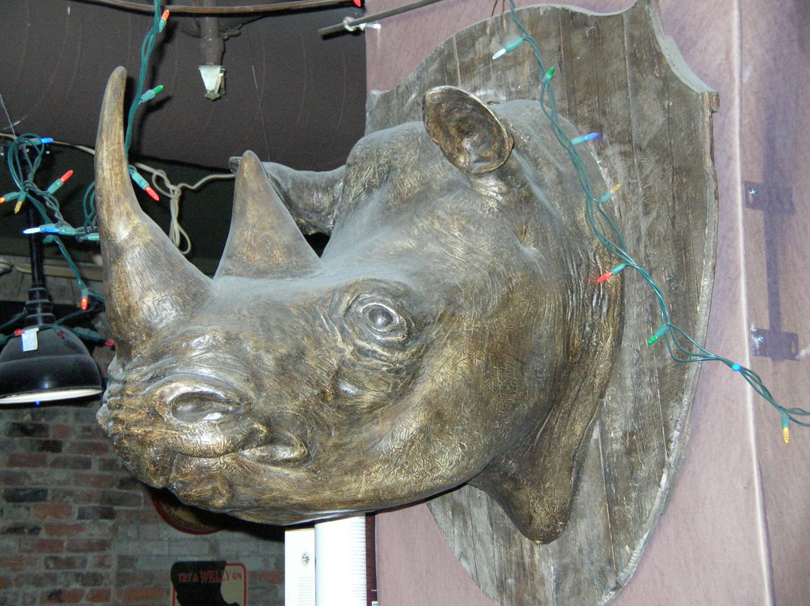 [Rhino+Head.JPG]