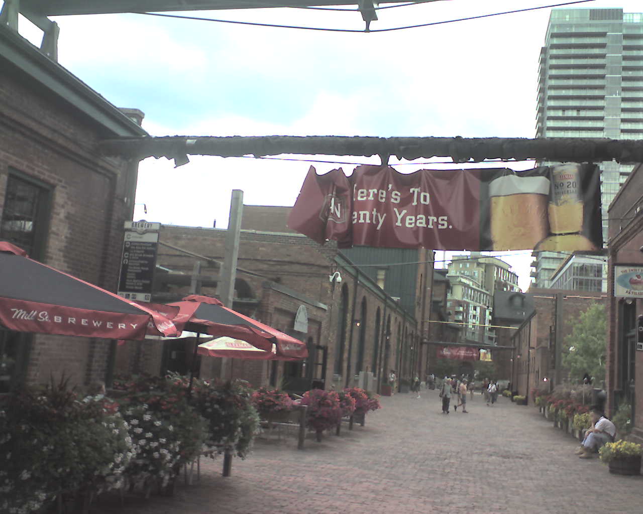 [sleeman+banner.jpg]