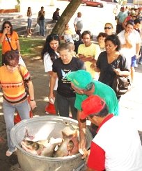 [SMDAFeiraPeixeVivo2008.jpg]