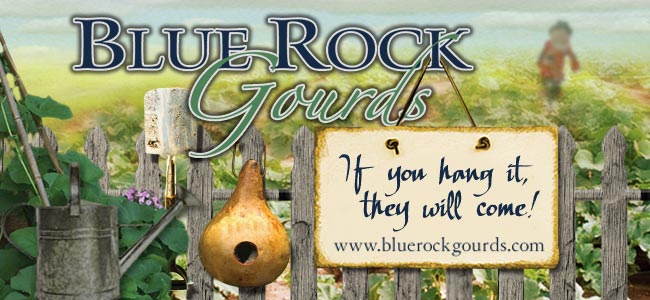 BLUE ROCK GOURDS