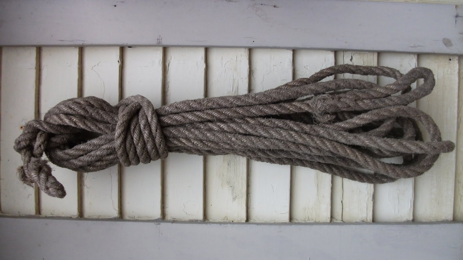 material witness Ropes