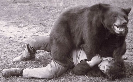 peau-ours.jpg peau-ours.jpg