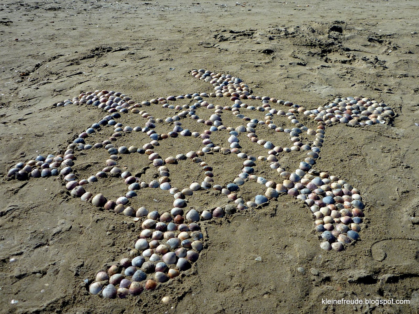 kleine freude Caretta Caretta