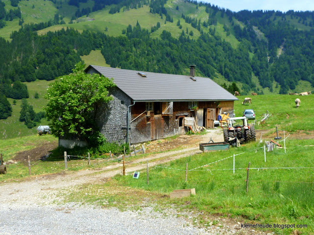 kleine freude: Der Holunder/Elderberry im Keltischen Baumkreis