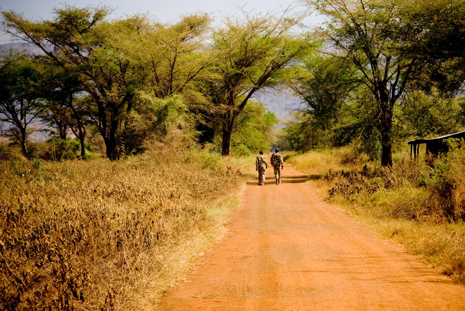 [20071204-DSC00746-62.jpg]