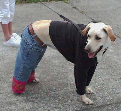 stylin%5B1%5D.jpg