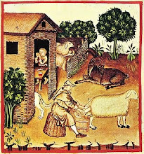 Ilustración del siglo XIV de Tacuinum sanitatis