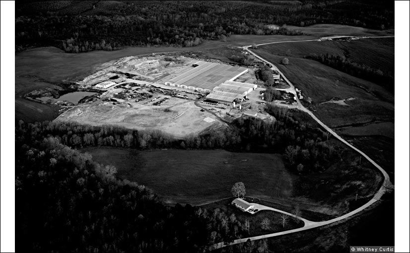 The Raynal Review Silver Bait in Coalmont TN