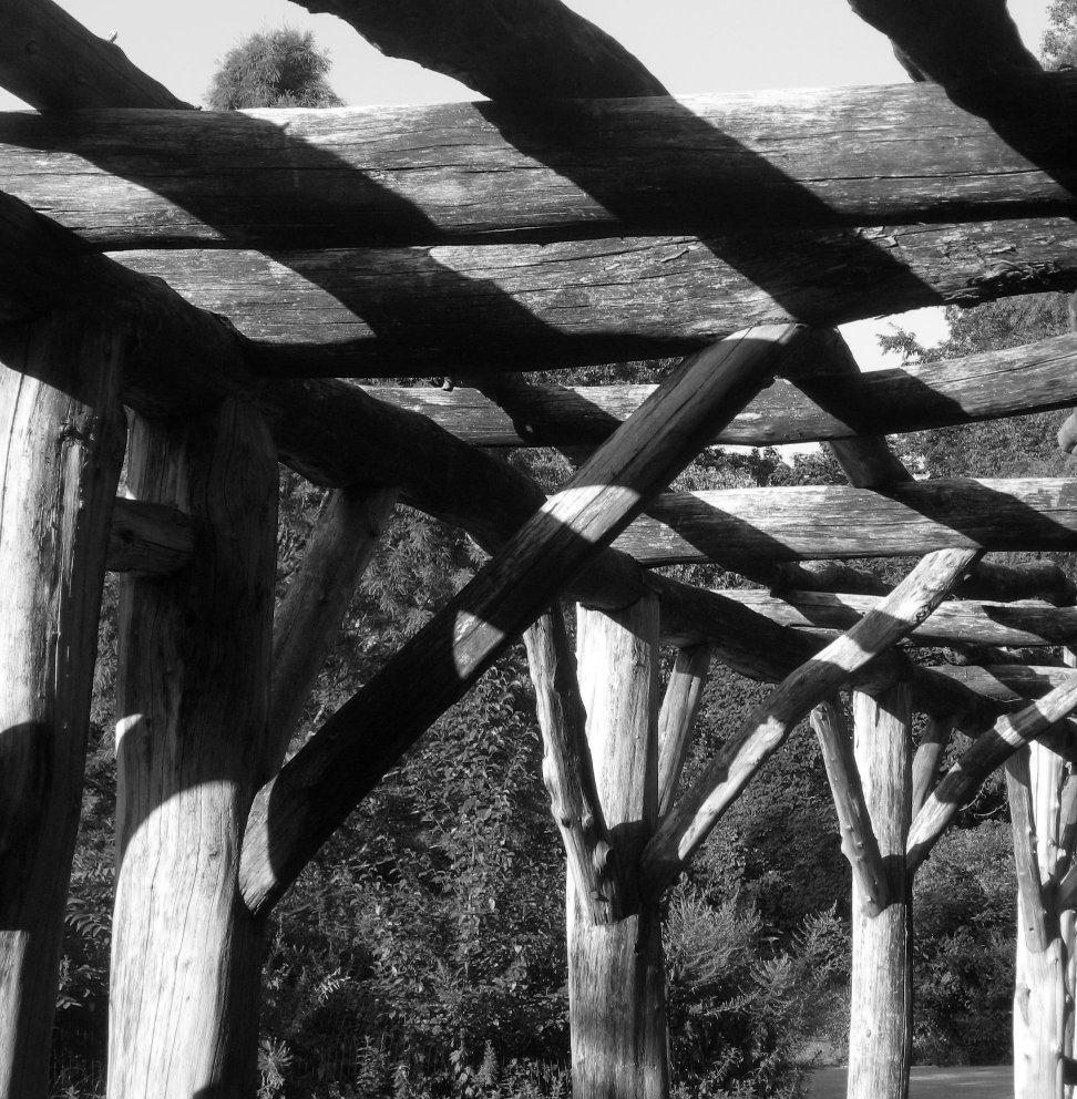 Brooklyn Photos "Rustic Arbor" in Prospect Park