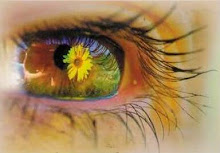 Een zonnebloem keert zich altijd naar het licht, en heeft van alle bloemen het zonnigste gezicht.