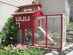 chicken coop eggplant plans coops