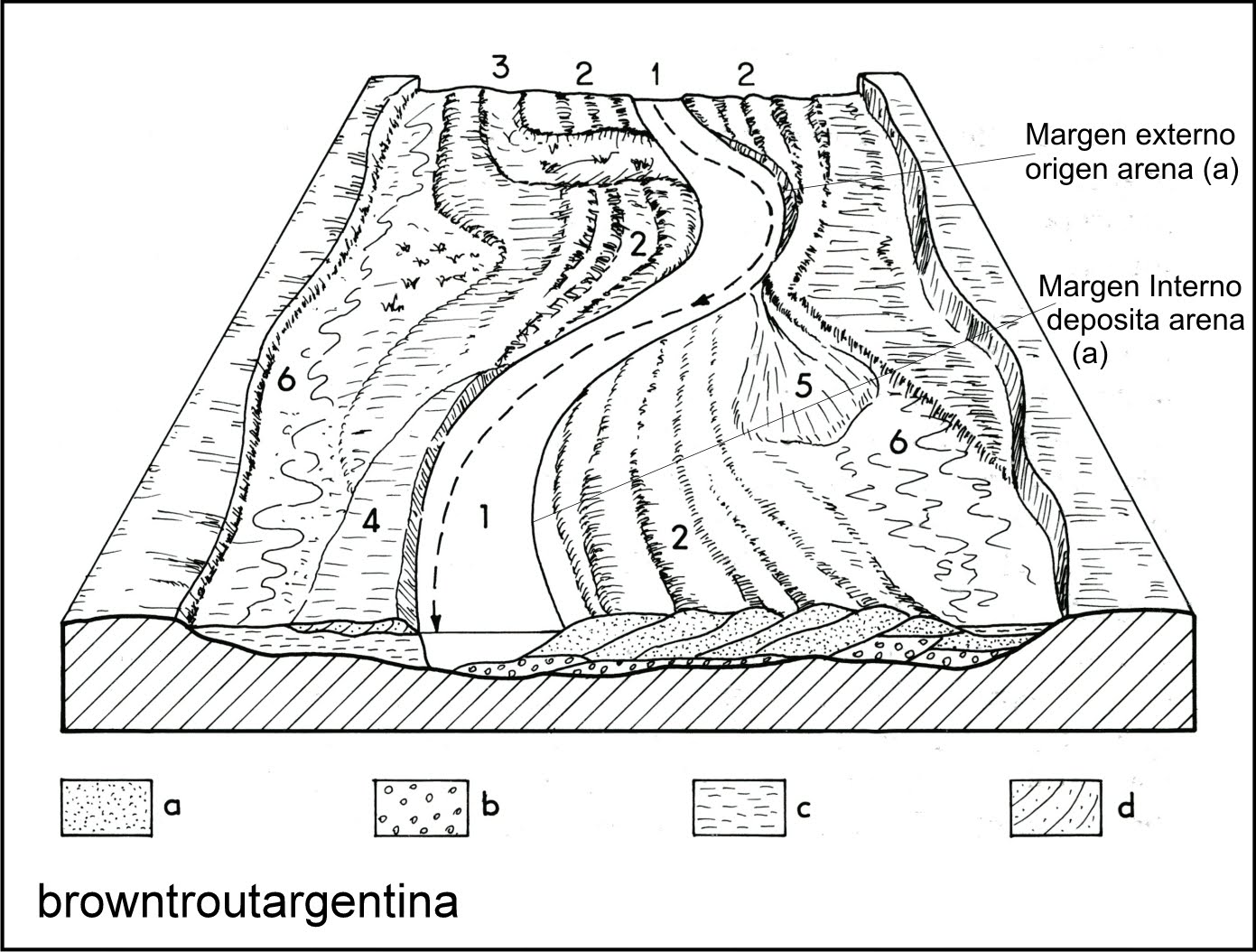 BROWN TROUT ARGENTINA GEO: La Fisonomía de los Ríos