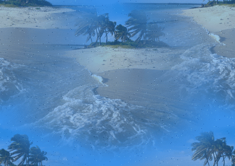 [mar%20dosgolfinhos.gif]