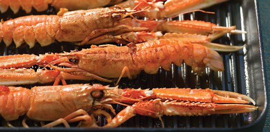 [4b802d0a-61c9-499d-9f5c-f70b3a94e27e.jpg]