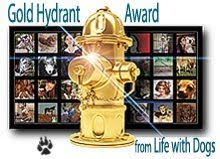 Gold Hydrant Award