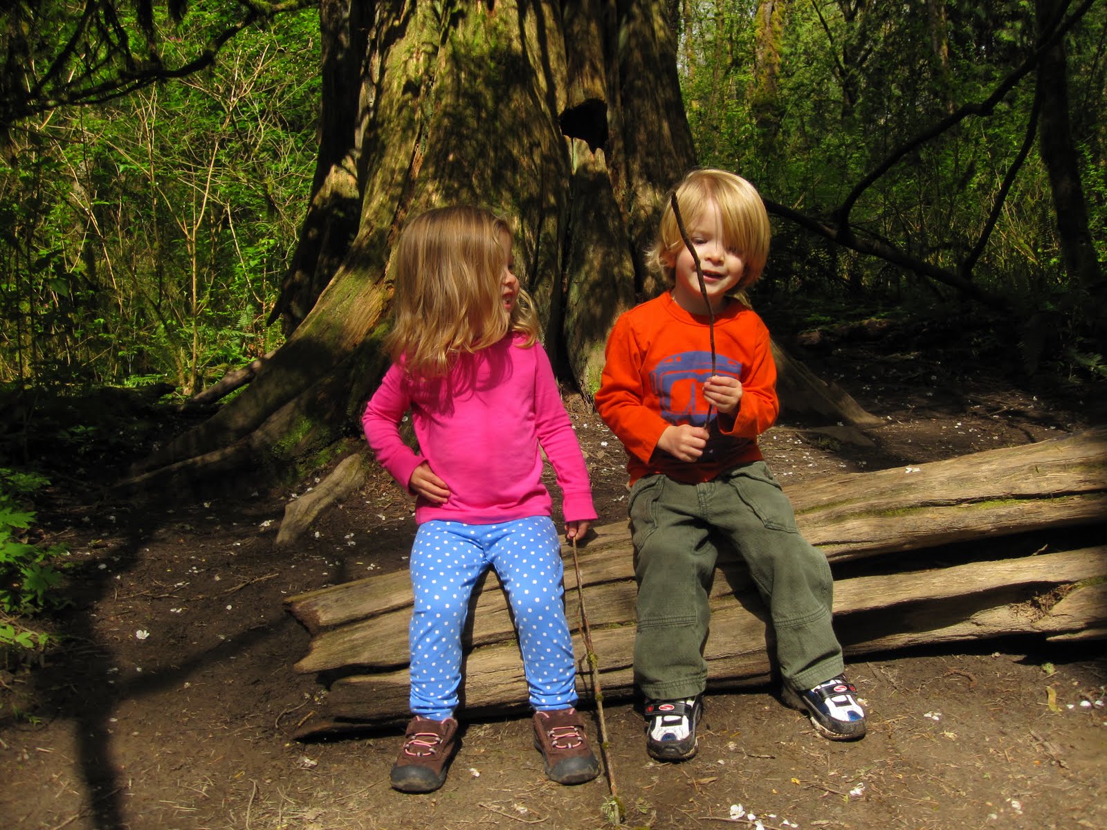 Life at the condo Does a toddler shit in the woods?