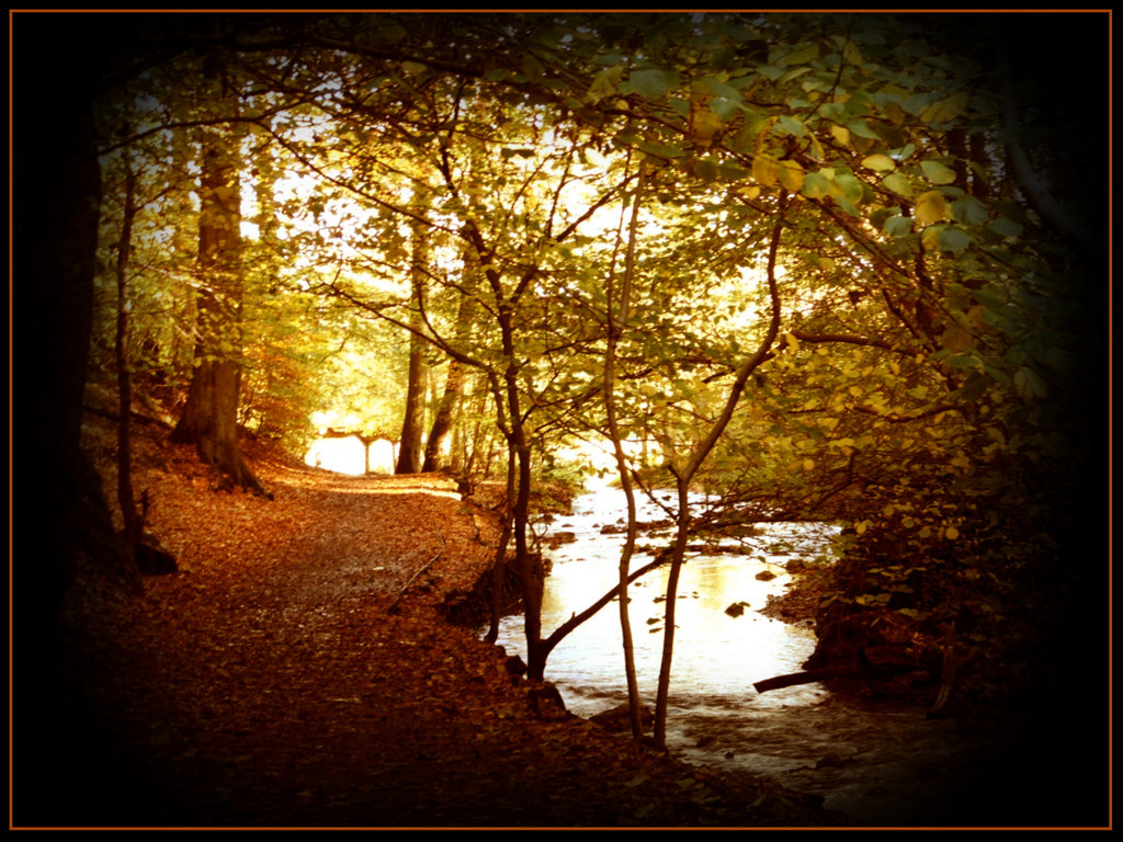 [Where_Two_Roads_Meet_by_Sunbirdshaman[1].jpg]