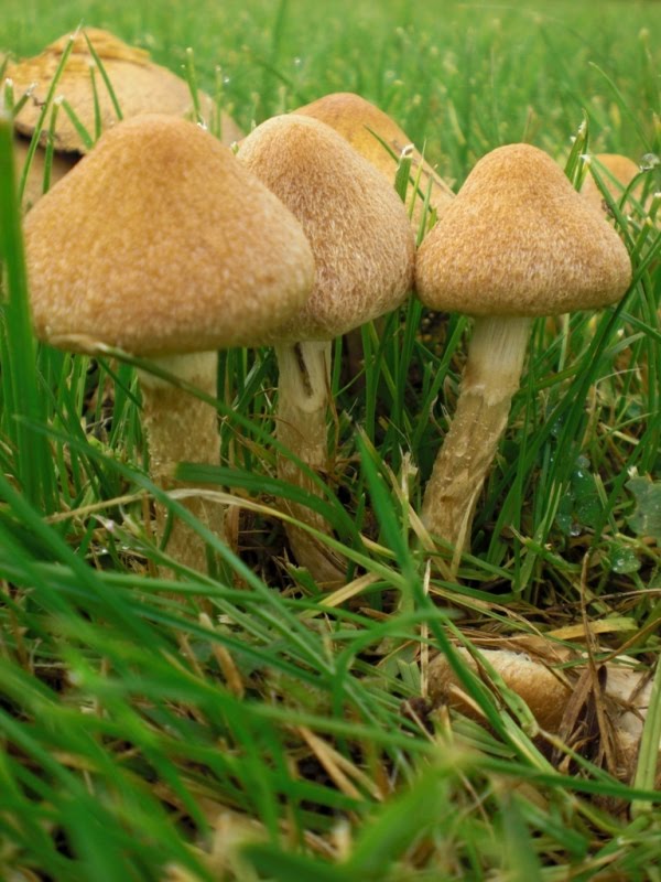 [3597447_large.jpeg]