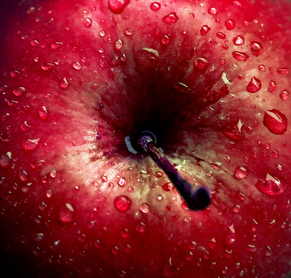 [Apple_by_Hiilda.jpg]