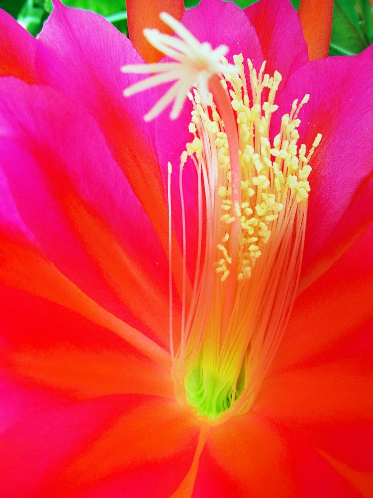 [3115551_large.jpeg]