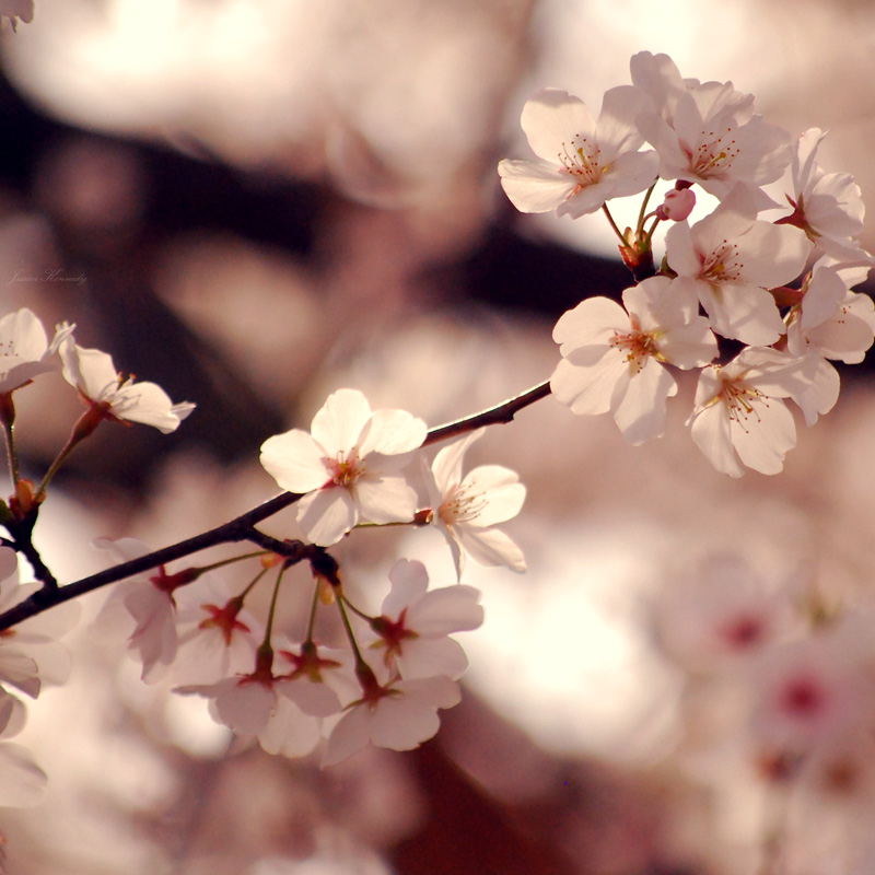 [Awakened_by_rayofcreativelight.jpg]