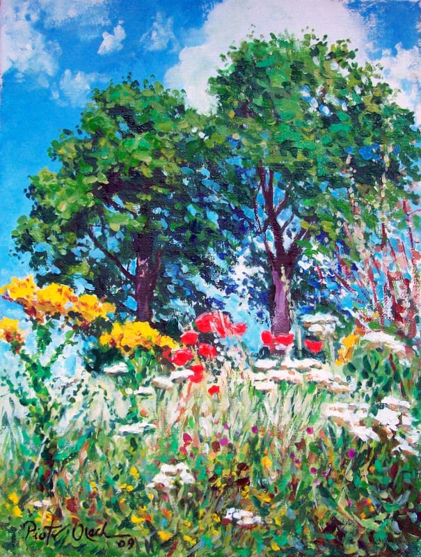 [Field_flowers_by_Dreamnr9.jpg]