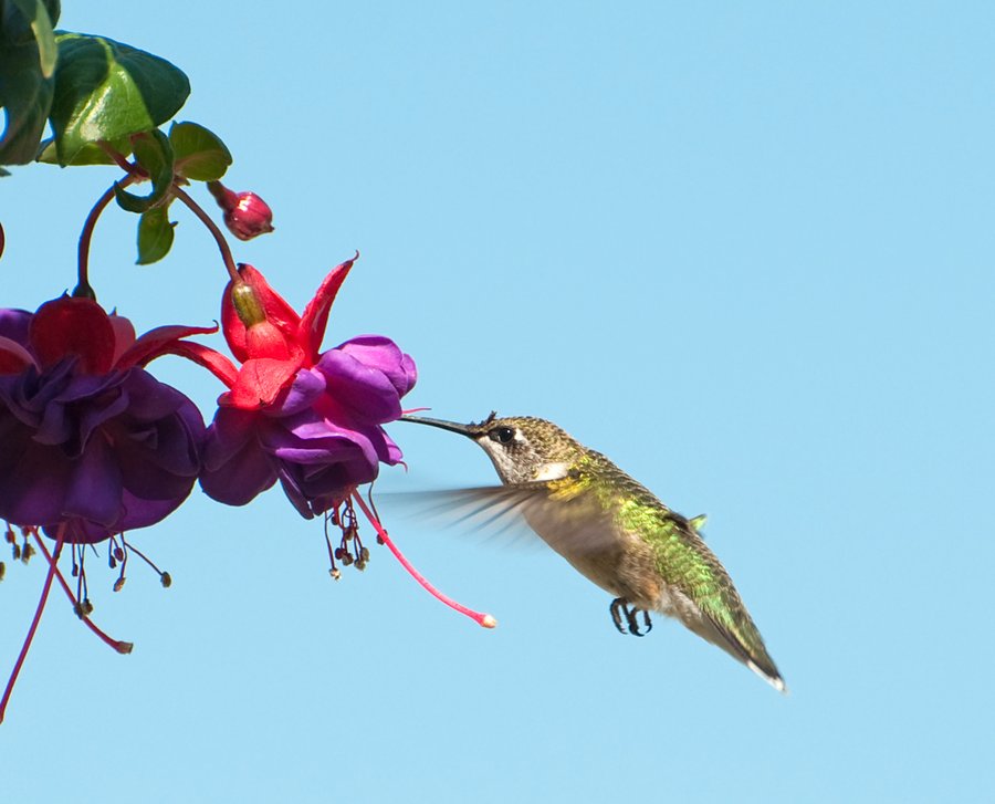 [Over_the_Rainbow__by_Kelly63.jpg]