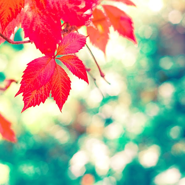 [3984d9708182d39d44a7e32cf9367077.jpg]