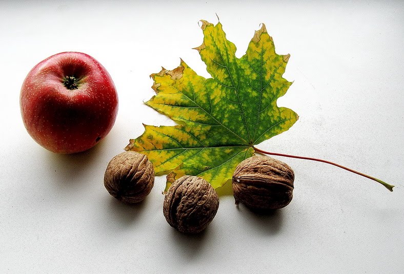 [3529452_large.jpeg]