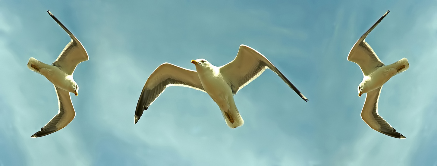 [3520621_large.jpeg]