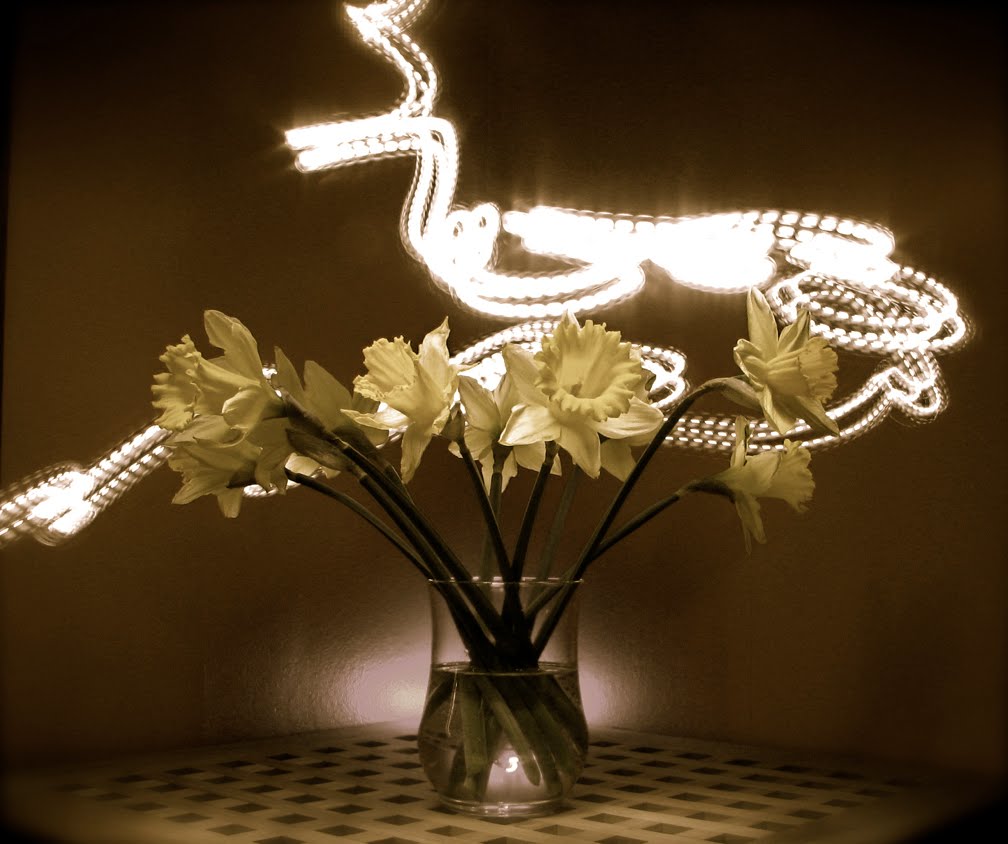 [Light_painted_flowers_by_vikinggib.jpg]