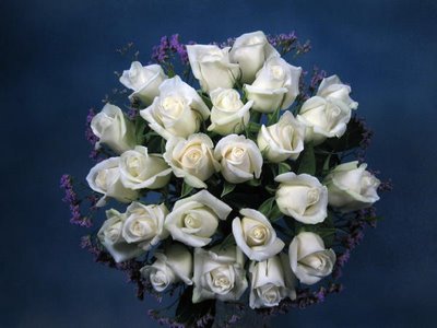 I like White roses(^-^)