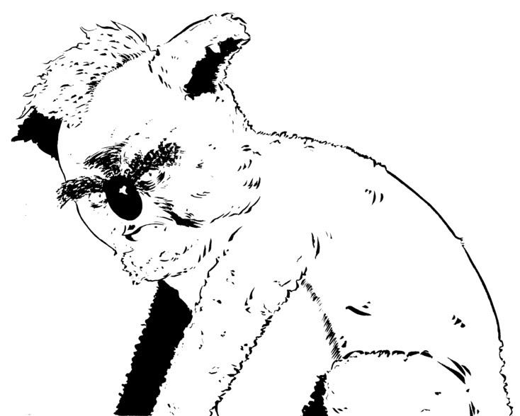 Work in Progress: Koobor the Koala