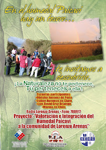 Afiche de un Proyecto de Radio Lorenzo Arenas 104.5