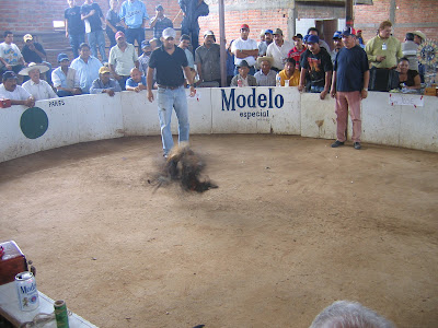 Hahnenkampf, pelea de gallos, cockfight Mexico