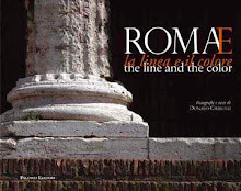Libri Pubblicati - Roma: La Linea e il Colore