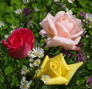 Muitos parabéns! Feliz aniversário.