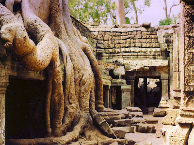 Le temple Ta Prohm au Cambodge