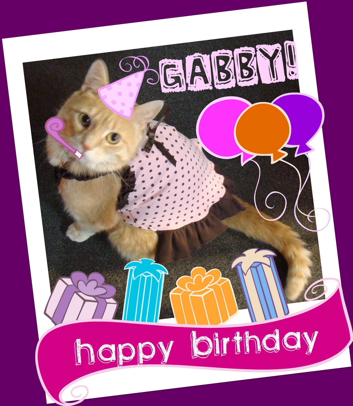 Feline Underground: happy birthday, gabby!