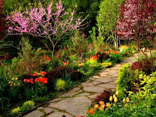 Garden Areas at Clatter Valley