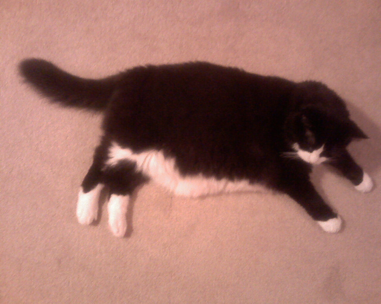 [IMAGE_246-764654.jpg]