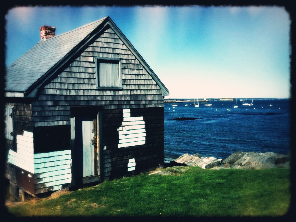 Milo in Maine Willard Beach in October