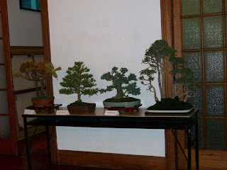 CLUB PERUANO DE BONSAI