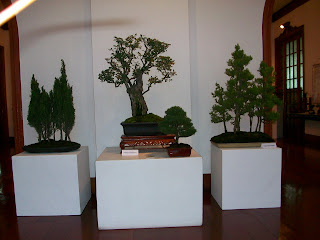 CLUB PERUANO DE BONSAI