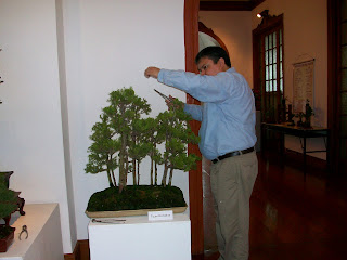CLUB PERUANO DE BONSAI