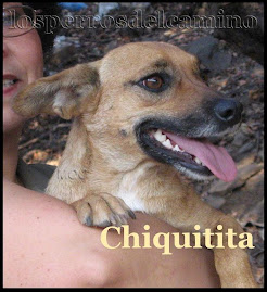 Chiquitita