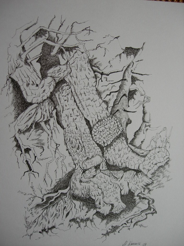 [DSCN4663+Kopie.JPG]